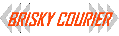 BriskyParcel  Company