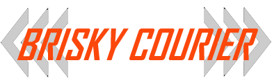 BriskyParcel Company
